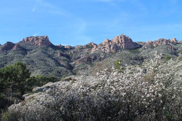 Hiking at Circle X Ranch