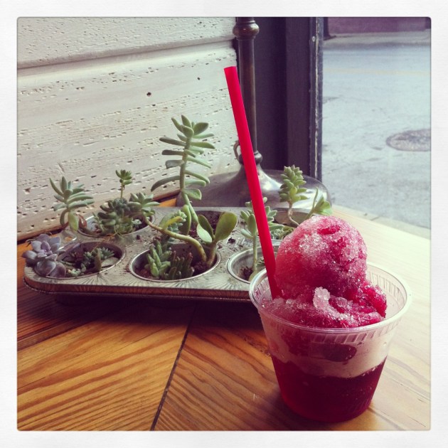 Little Freshie, fresh slushie in 101 degree Kansas City, Missouri